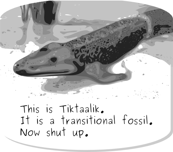 Tiktaalik is an example of a transitional fossil